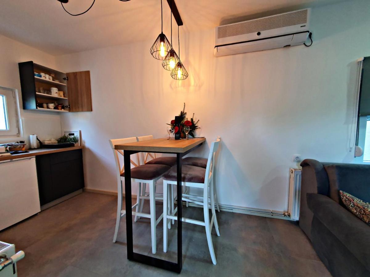 Luxor Apartmani 2 Vrnjačka Banja Kültér fotó
